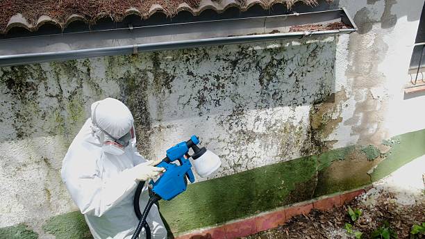Mold Remediation service in Halifax, Halifax, VA